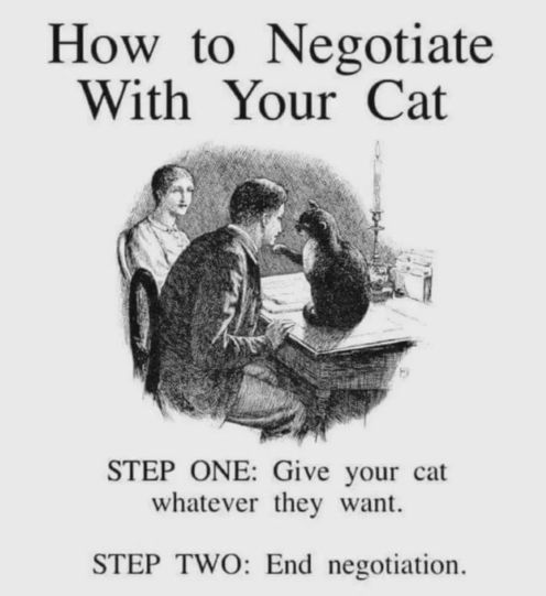 negotiat with cat.jpg